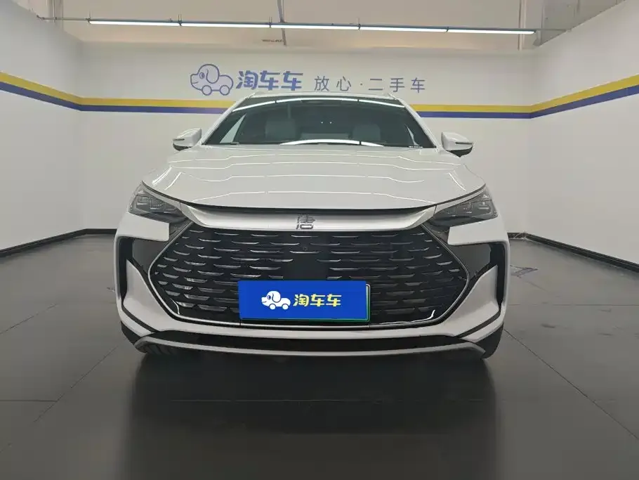 BYD Tang New Energy — фото 5