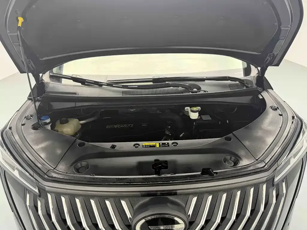 GAC Motor Trumpchi M8 — фото 10