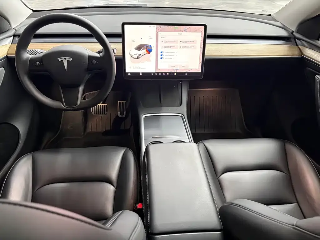 Tesla Model Y — фото 8