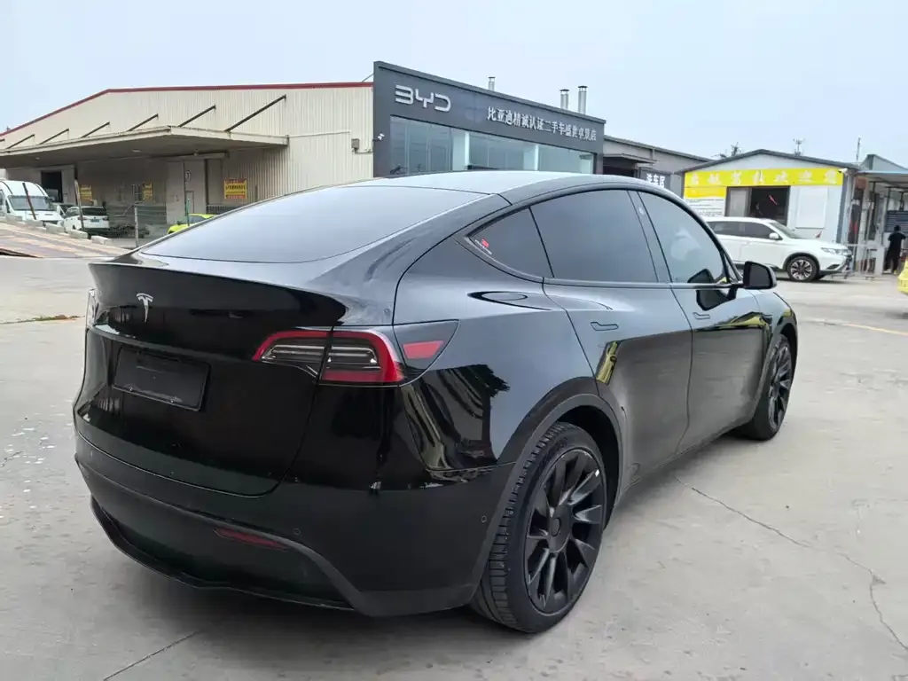 Tesla Model Y — фото 9
