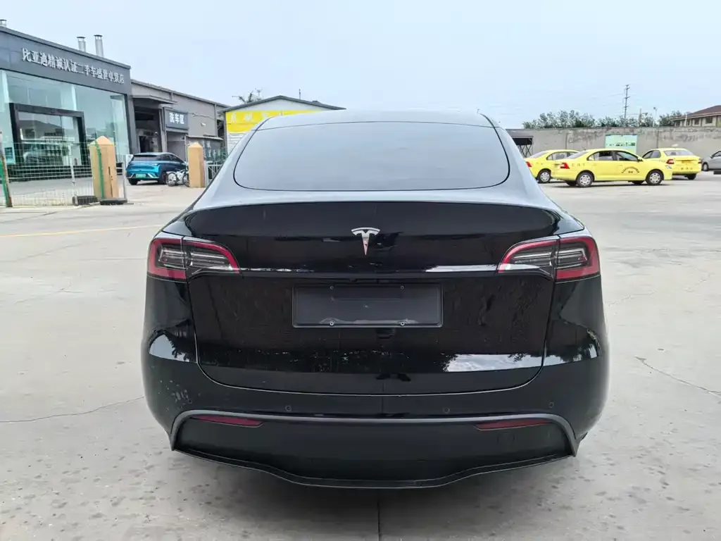 Tesla Model Y — фото 3