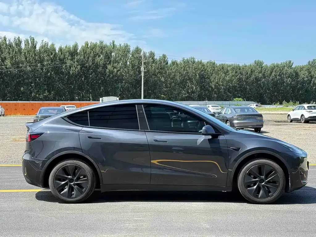 Tesla Model Y — фото 5