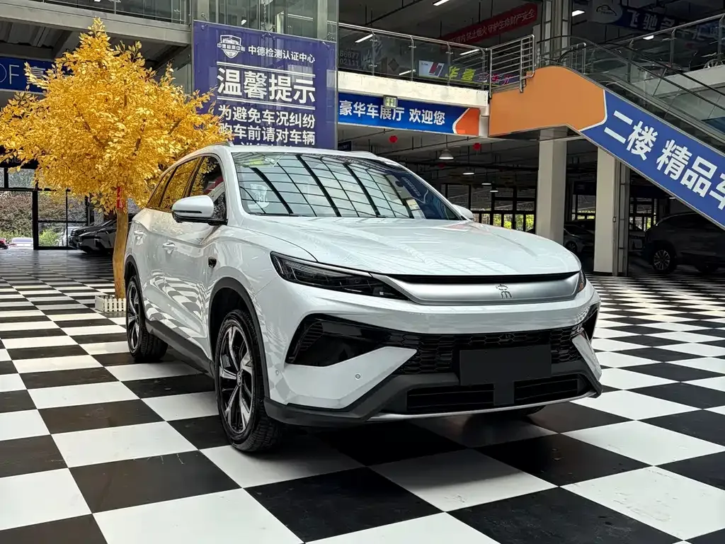 BYD Pro New Energy — фото 7