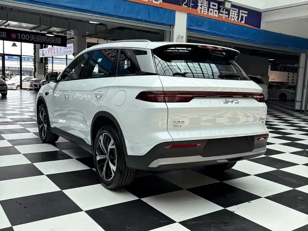 BYD Pro New Energy — фото 4