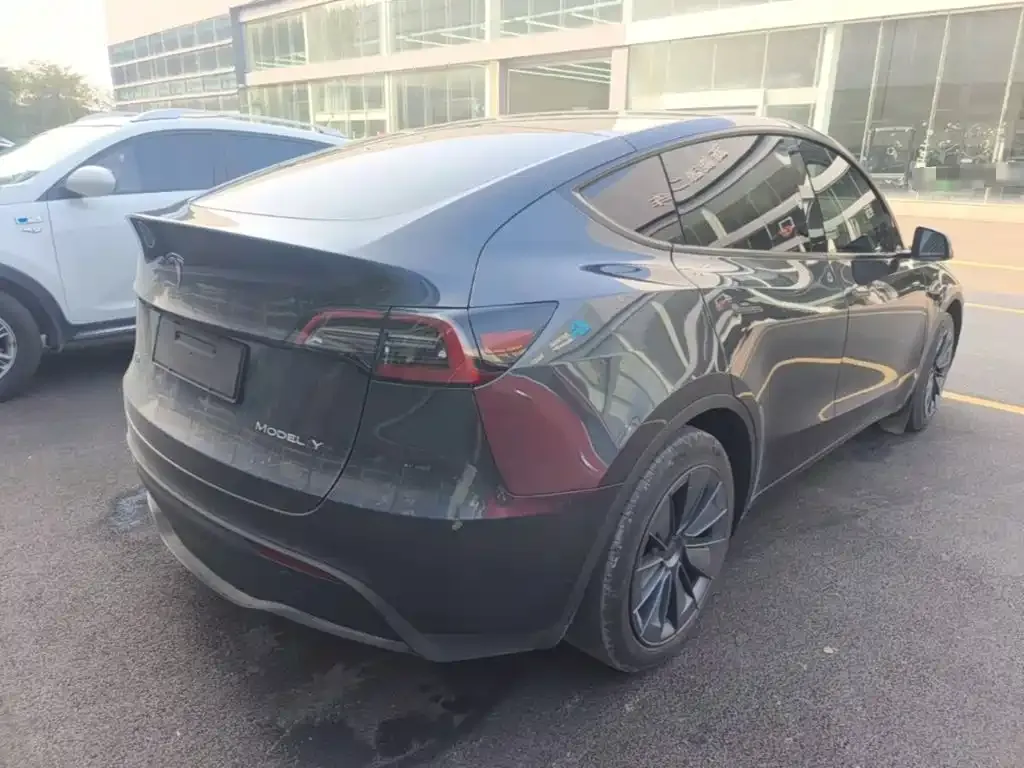 Tesla Model Y — фото 6