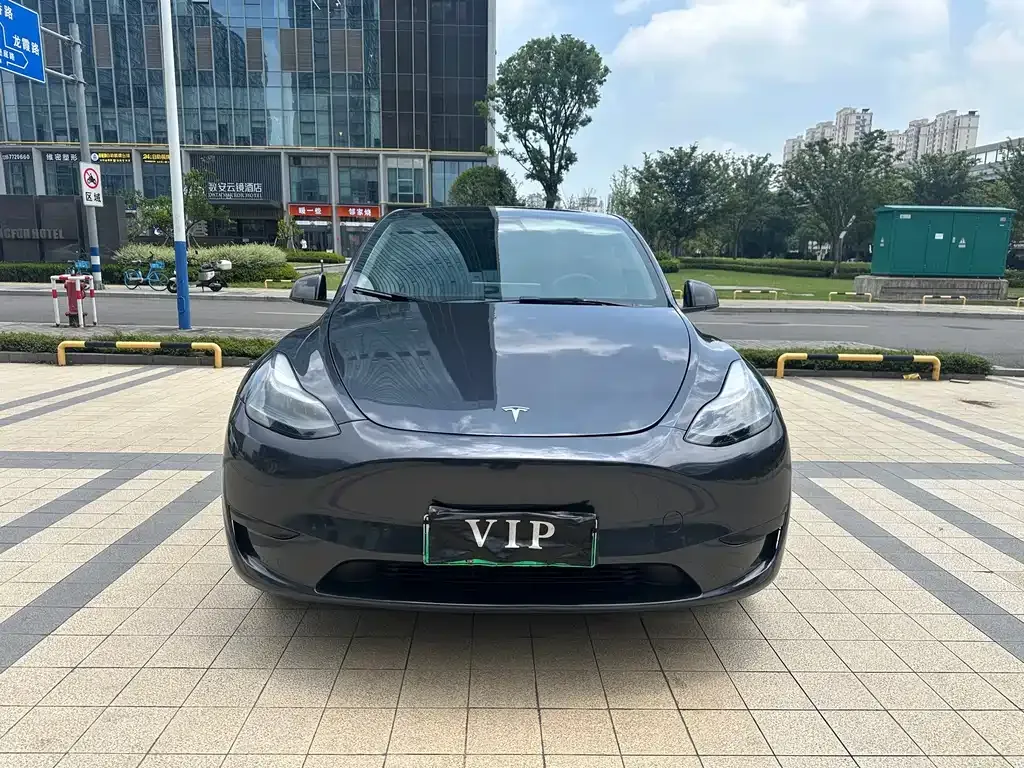 Tesla Model Y — фото 1
