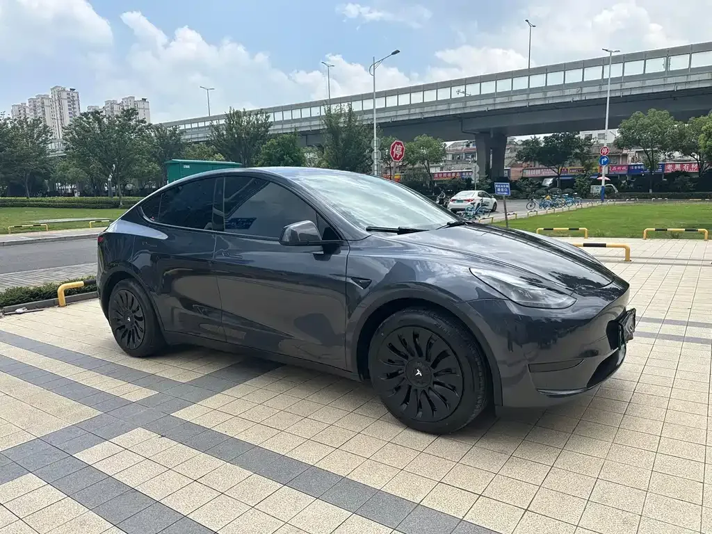 Tesla Model Y — фото 6