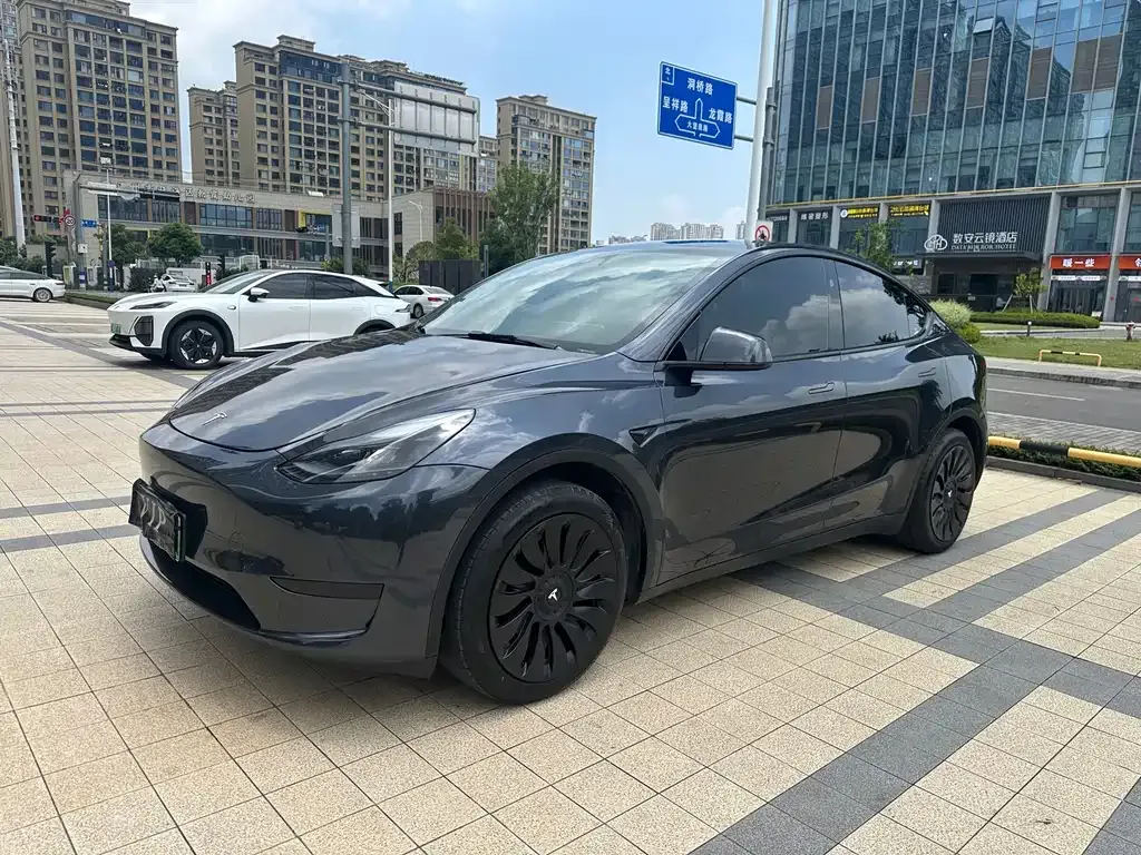 Tesla Model Y — фото 9