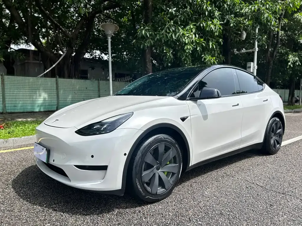 Tesla Model Y — фото 1