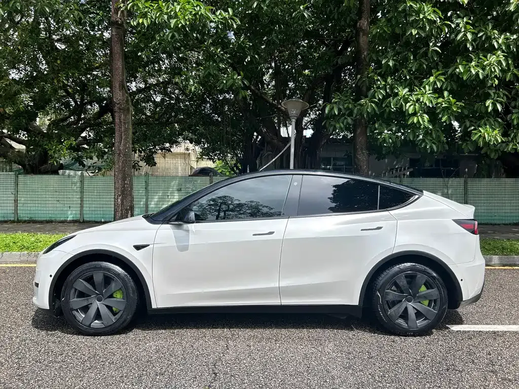 Tesla Model Y — фото 9