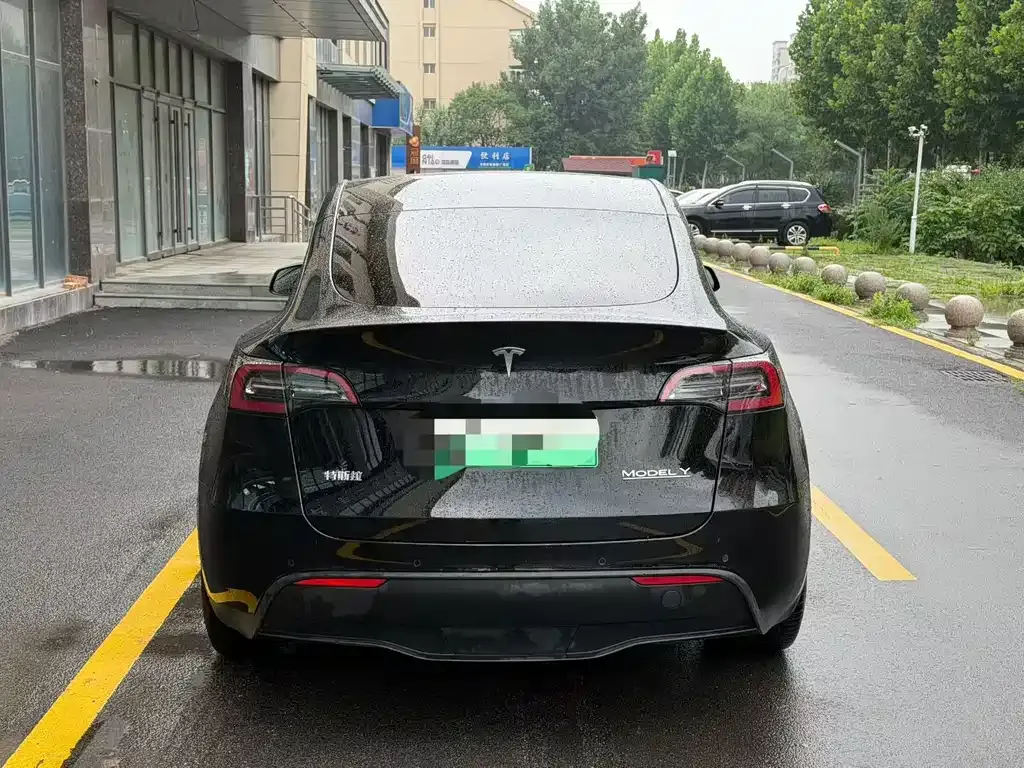 Tesla Model Y — фото 2