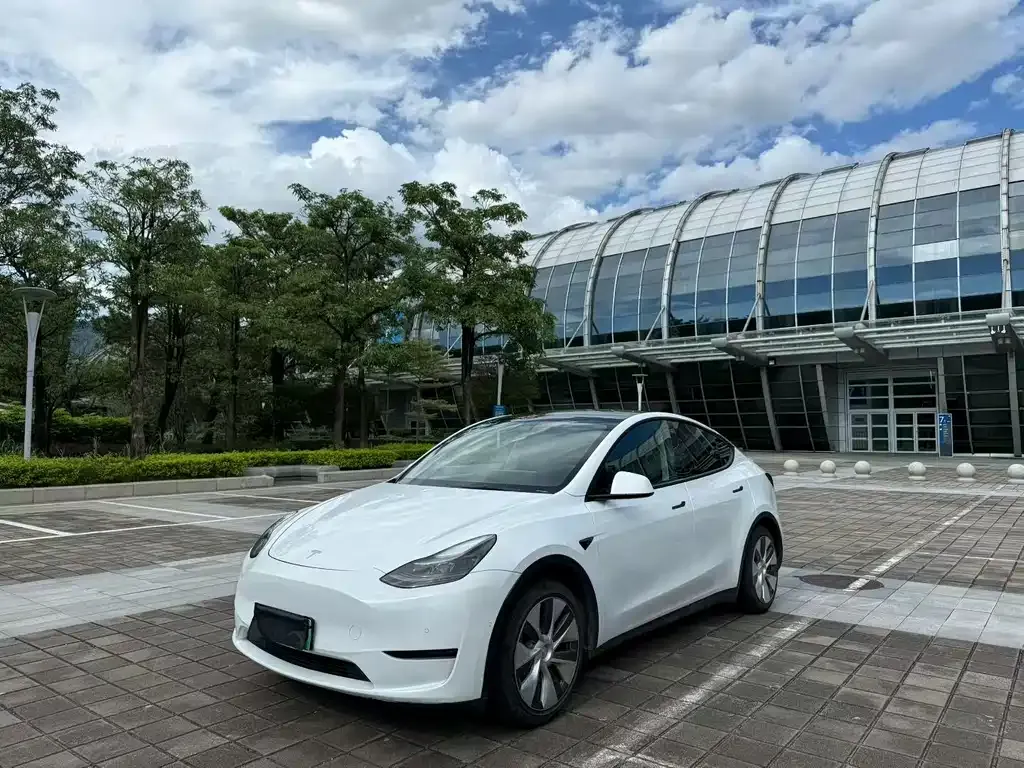 Tesla Model Y — фото 1