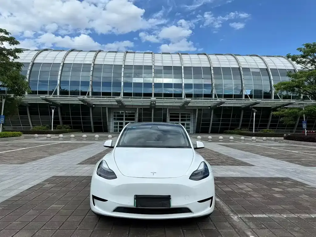 Tesla Model Y — фото 9