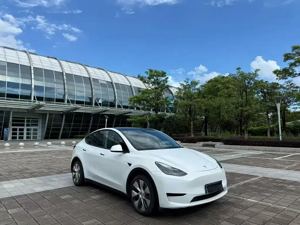 Tesla Model Y — фото 7