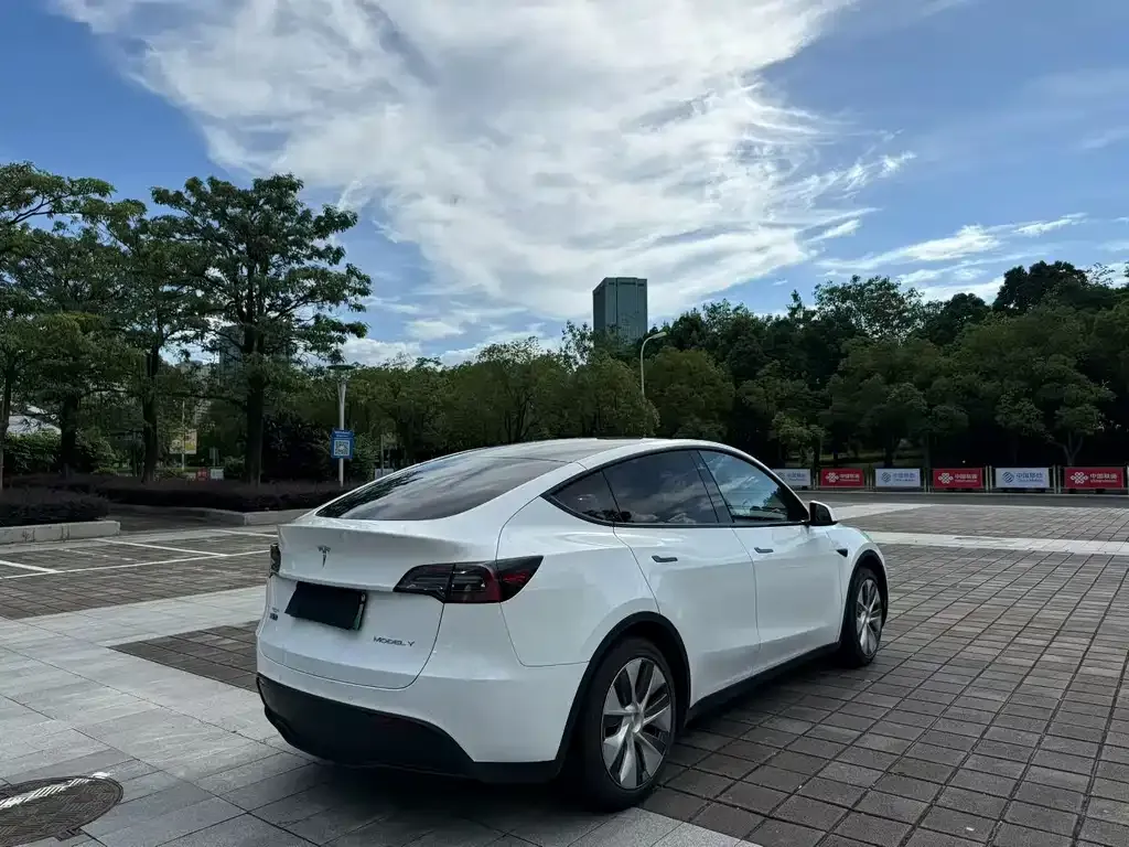 Tesla Model Y — фото 3