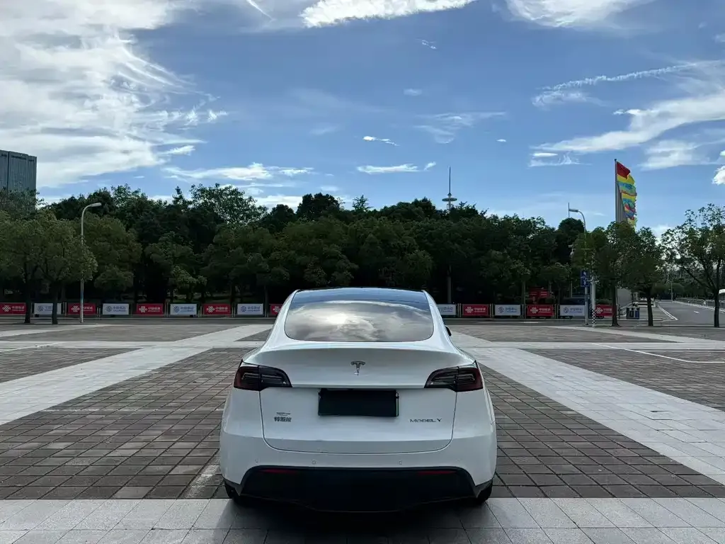 Tesla Model Y — фото 5