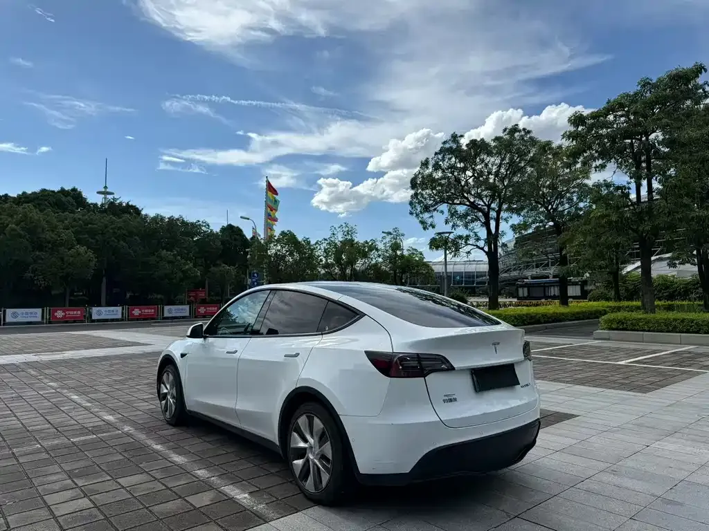 Tesla Model Y — фото 6
