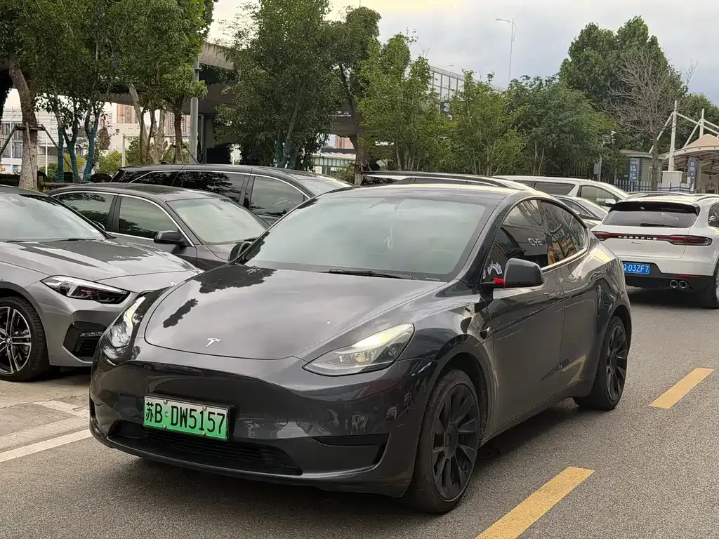 Tesla Model Y — фото 1