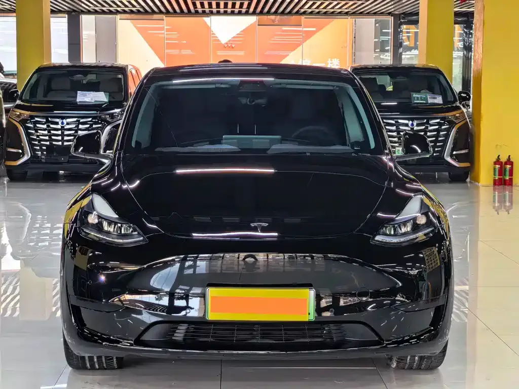 Tesla Model Y — фото 8