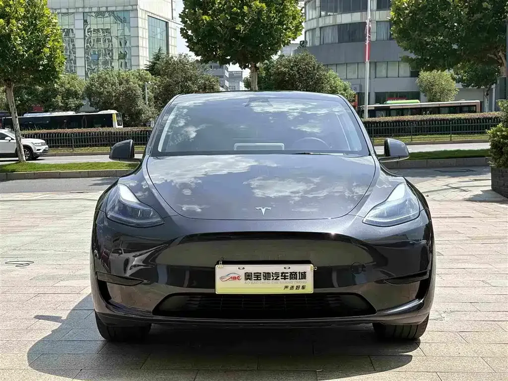 Tesla Model Y — фото 8