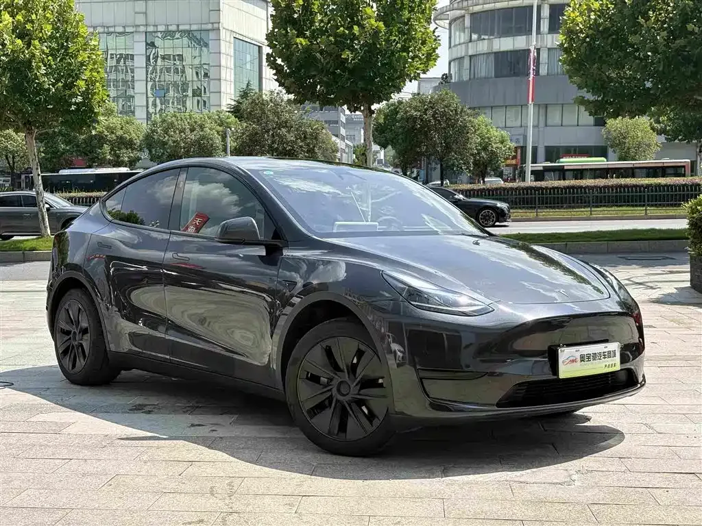 Tesla Model Y — фото 6