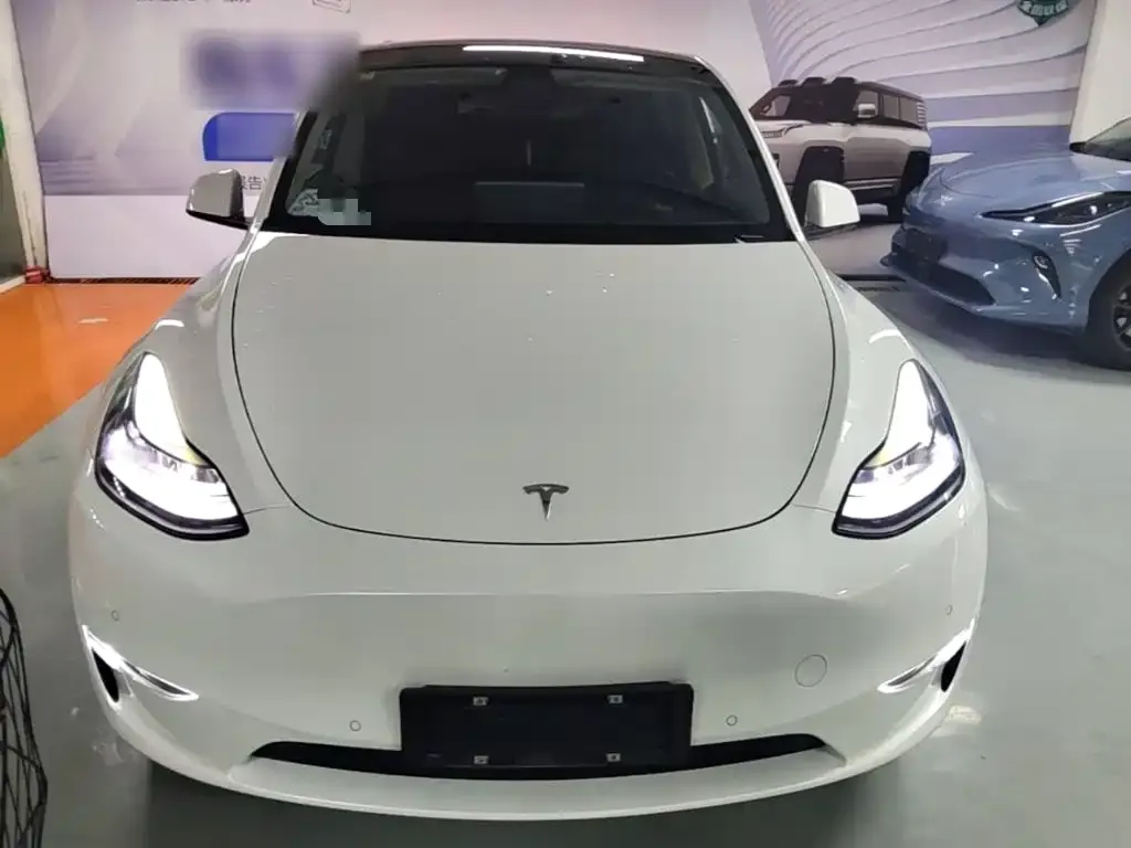 Tesla Model Y — фото 8