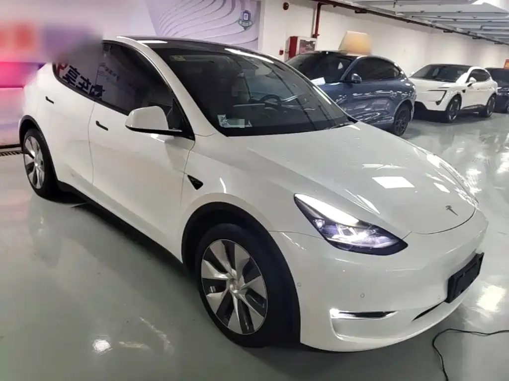 Tesla Model Y — фото 2