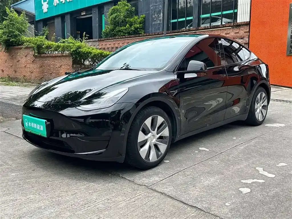 Tesla Model Y — фото 1