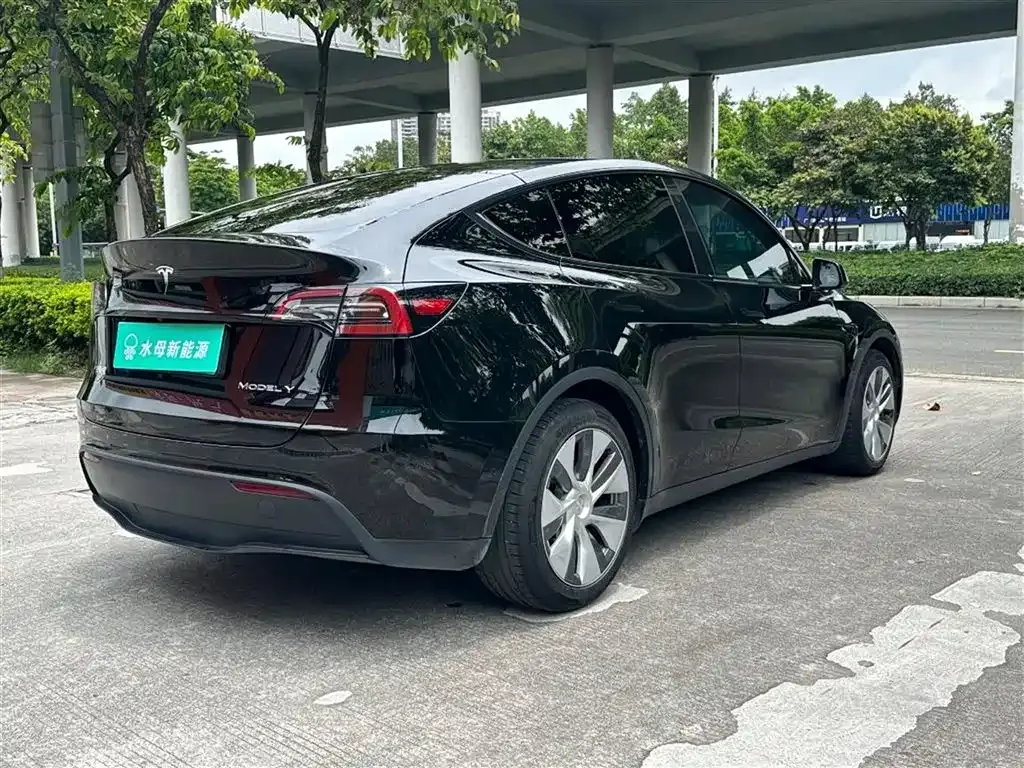 Tesla Model Y — фото 9