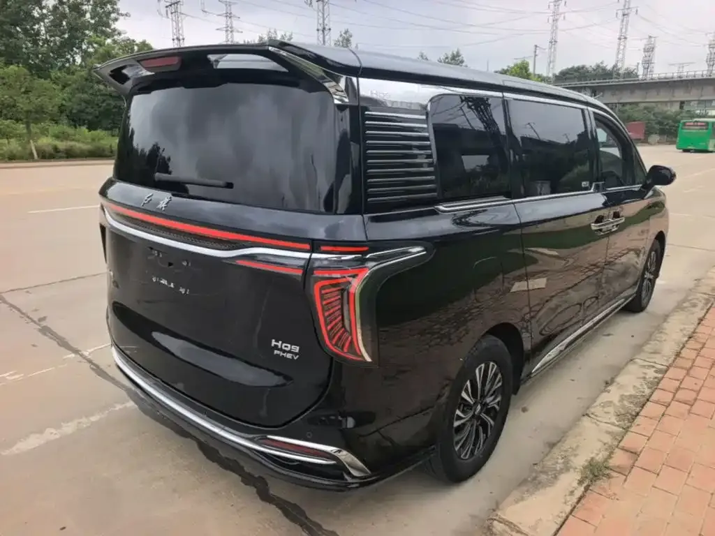 Hongqi HQ9 PHEV 2024 из CN, фото 7