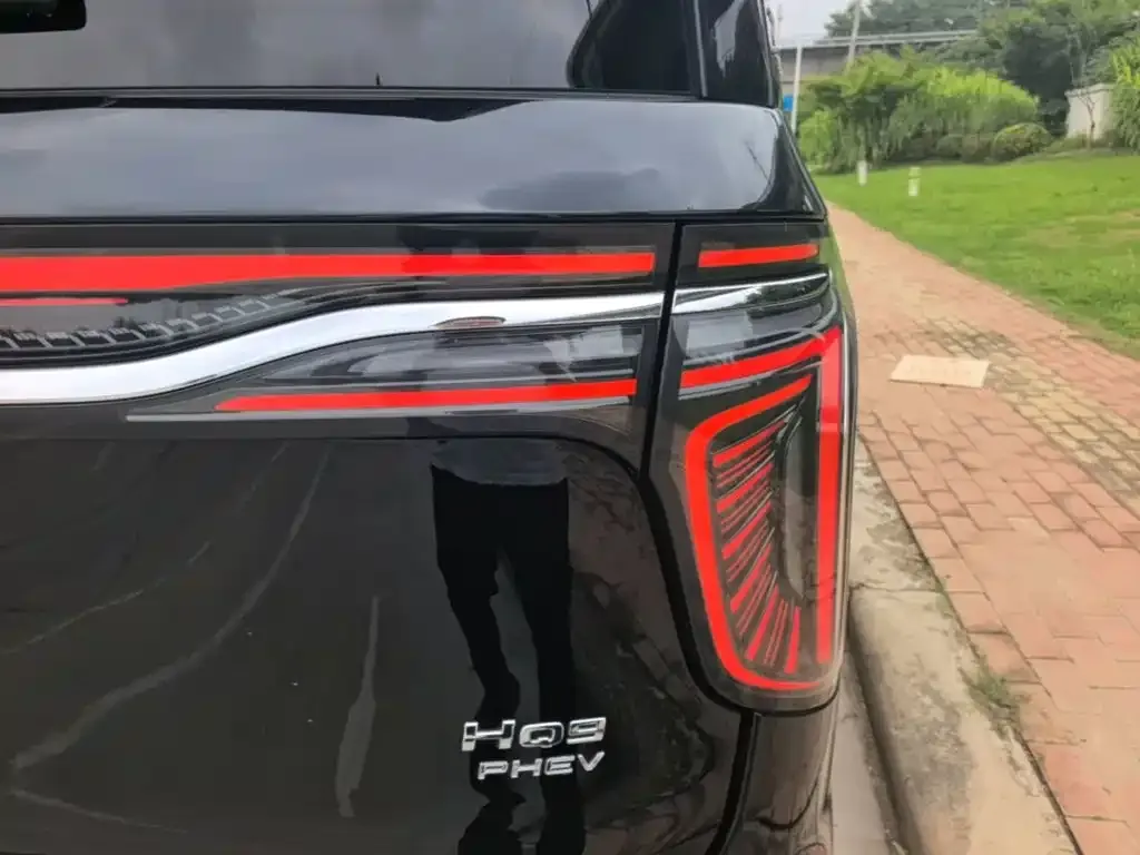 Hongqi HQ9 PHEV 2024 из CN, фото 4