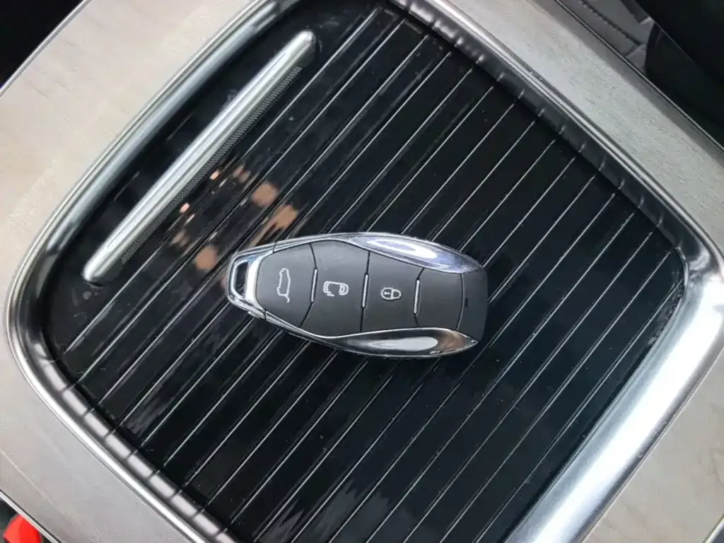 Hongqi HQ9 PHEV 2024 из CN, фото 6