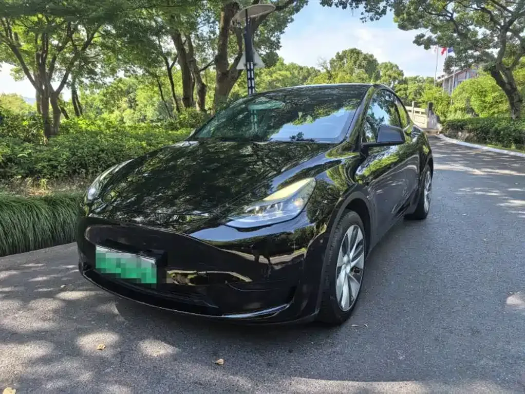Tesla Model Y — фото 1