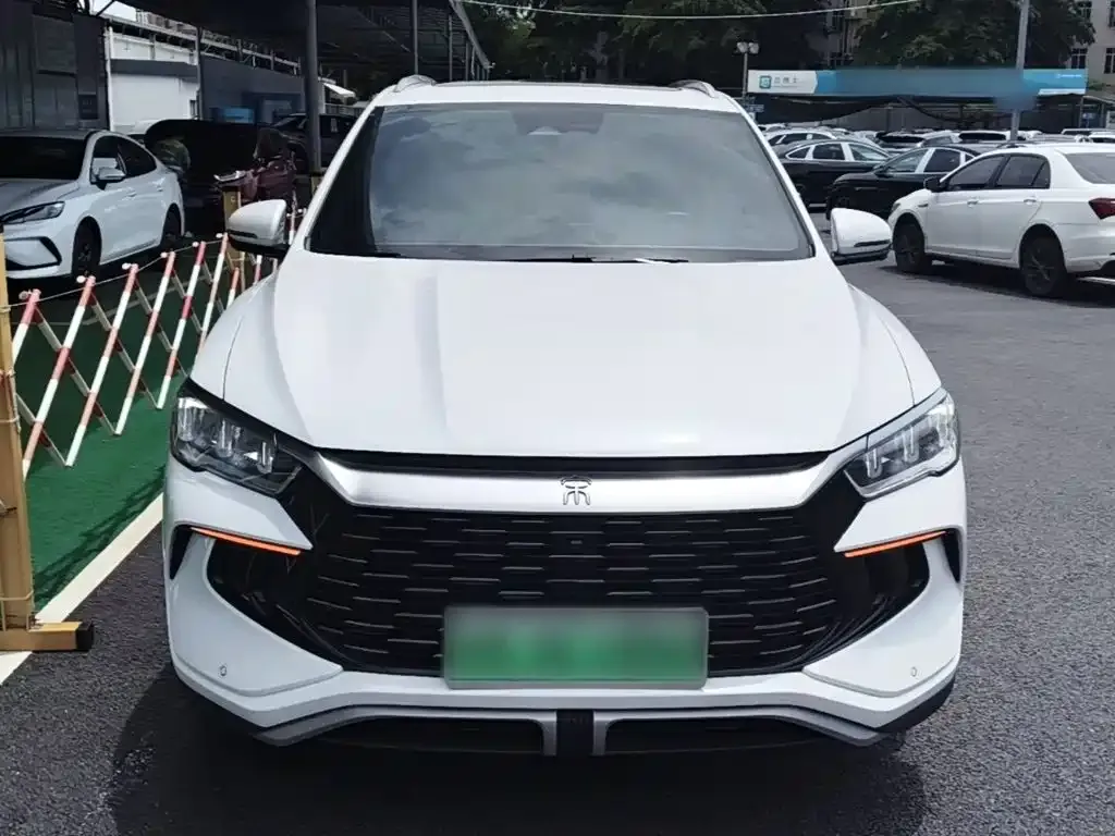 BYD Pro New Energy — фото 6
