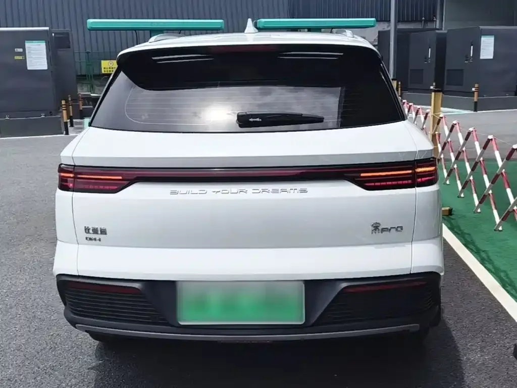 BYD Pro New Energy — фото 9