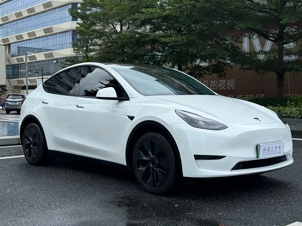 Tesla Model Y — фото 5