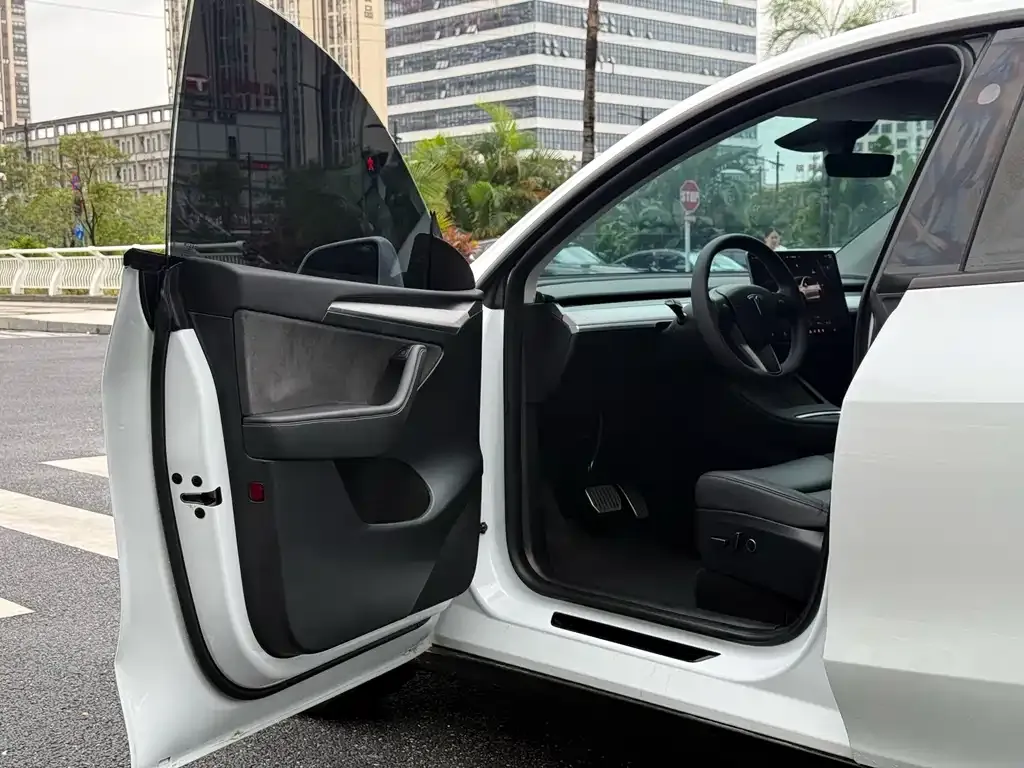 Tesla Model Y — фото 10