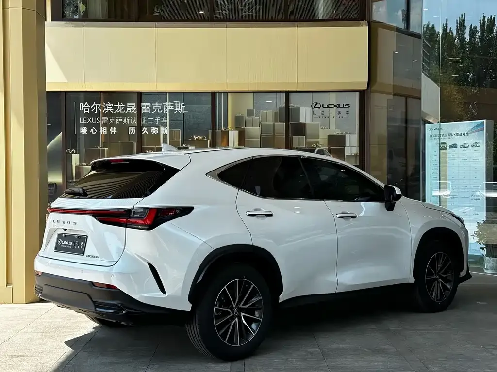 Lexus NX — фото 6