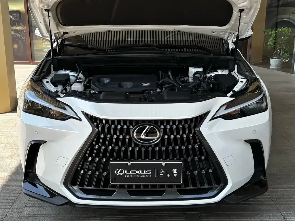 Lexus NX — фото 3