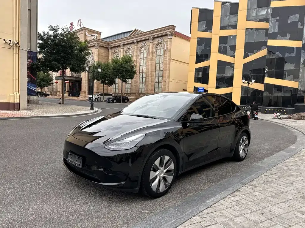 Tesla Model Y — фото 1