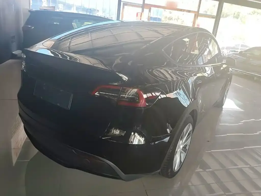 Tesla Model Y — фото 2