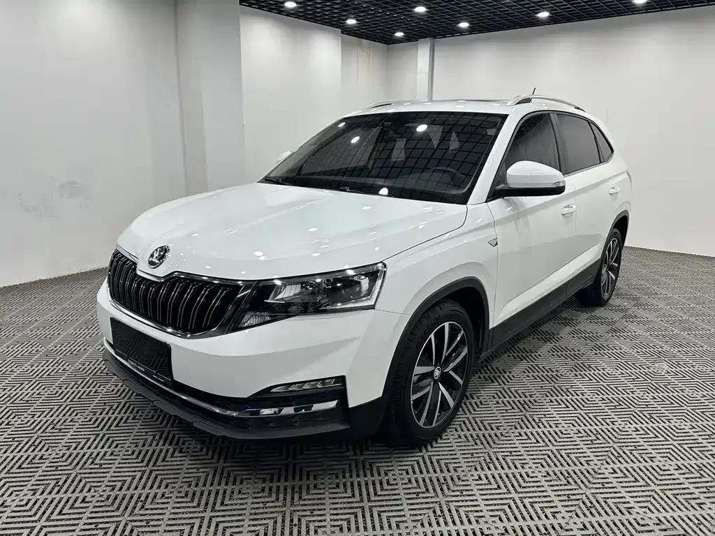 Skoda Kamiq 2023 из CN, фото 5