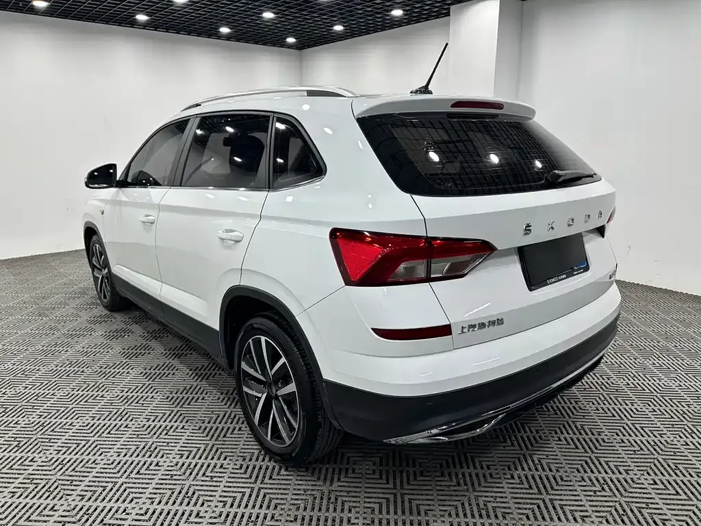 Skoda Kamiq 2023 из CN, фото 9
