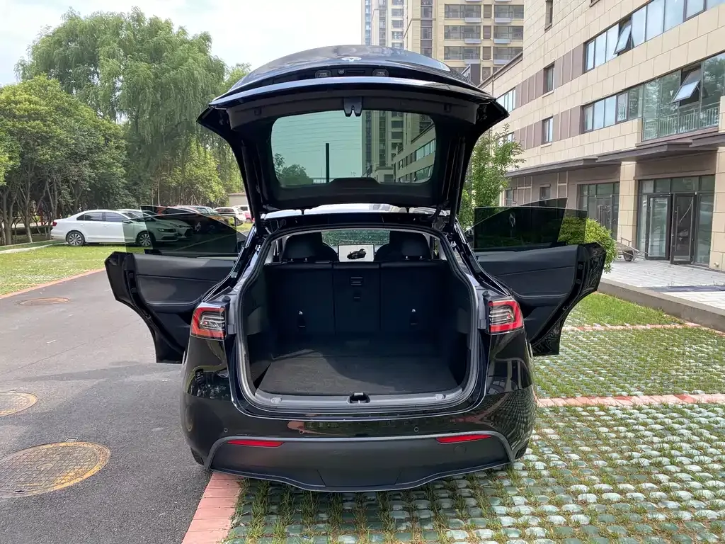 Tesla Model Y — фото 7