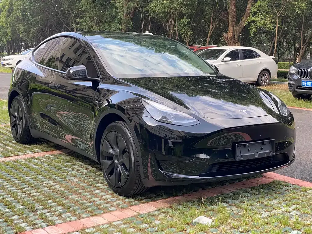 Tesla Model Y — фото 6