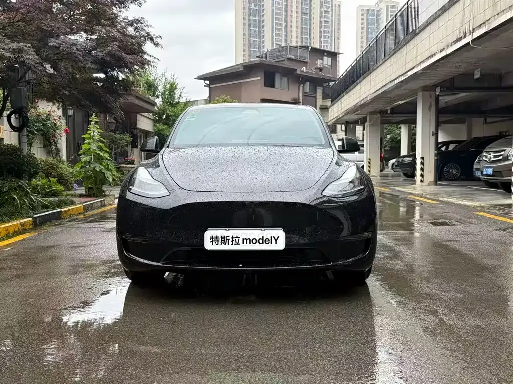Tesla Model Y — фото 1