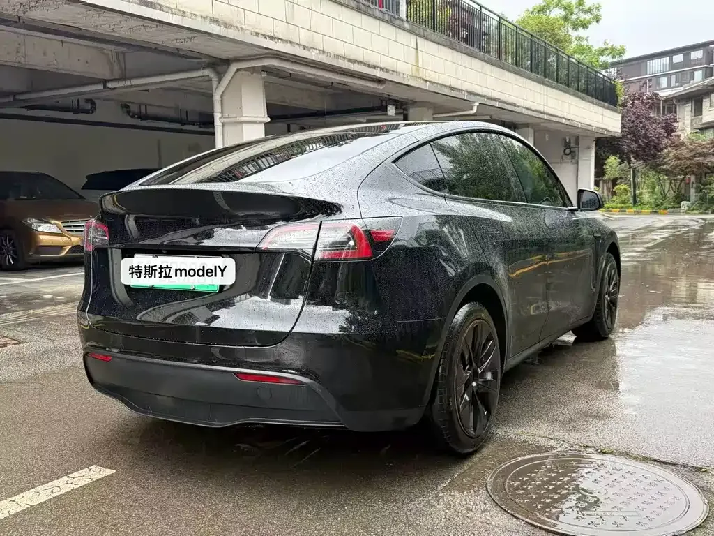 Tesla Model Y — фото 10