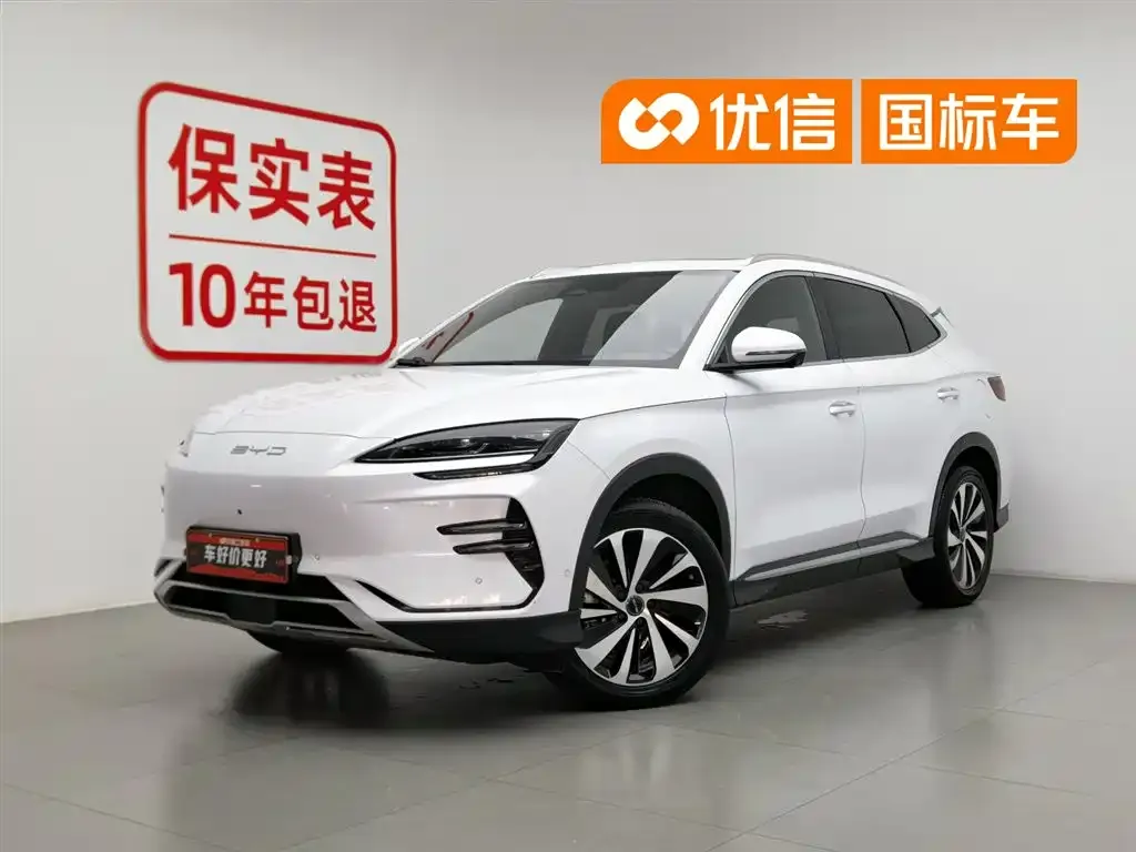 BYD PLUS New Energy — фото 1