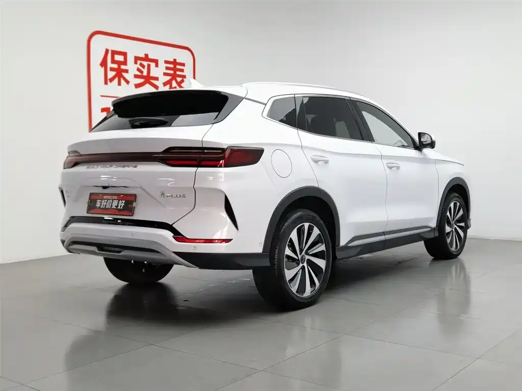 BYD PLUS New Energy — фото 8