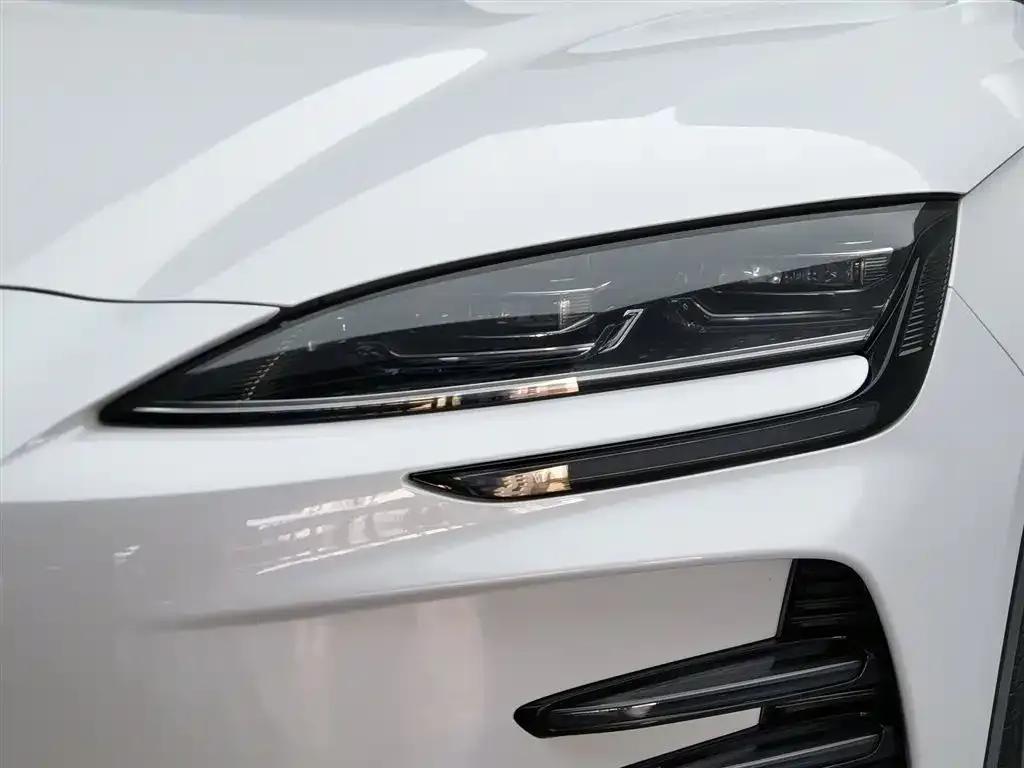 BYD PLUS New Energy — фото 4